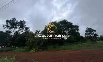 Imagem 2: Lote Industrial - 1.233 m² - Plano Diretor Sul