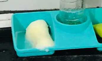 Imagem 5: Aluga-se casa 2 cômodos grandes