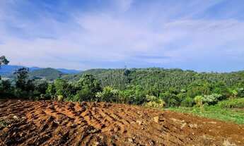Imagem 6: Terreno para Venda em Nova Petrópolis, Linha Olinda