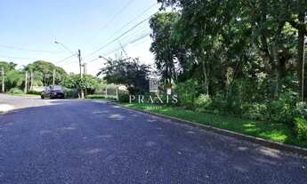 Imagem 3: Privilegiado terreno a venda, 665m² - Barreirinha, Curitiba PR