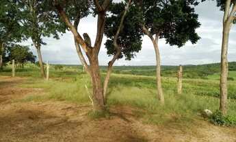 Imagem 3: FAZENDINHA 48 HECTARES (10 ALQUERES) SAIDA FRANCISCO SA 28 KM DE MONTES CLAROS