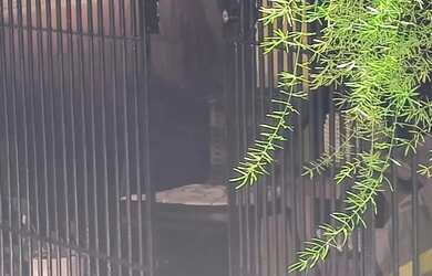 Imagem 7: Casa à venda em rua pública, JANGA, Paulista, PE