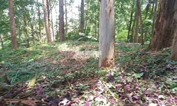 Imagem 6: Próximo a Casa da Fazenda 2.675,0m²