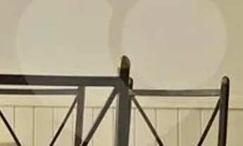 Imagem 6: Apartamento com 4 quartos para locação em Morro Dos Ingleses - SP