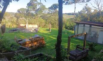 Imagem 5: Chácara br 277 são José dos Pinhais