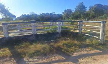 Imagem 6: VENDO!!! Uma fazenda com 630 alqueires (1.512 hectares) na região da cidade do P