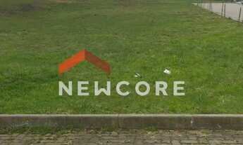 Imagem: Lote em Benjamin Constant - Cipó - São