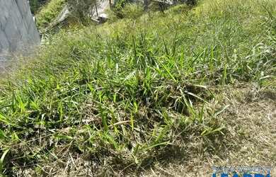 Imagem 4: TERRENO EM CONDOMÍNIO - CONDOMÍNIO HILLS 3 - SP