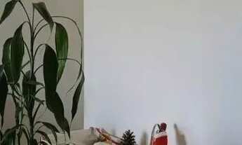 Imagem 4: Jadim Souto apto com 2 dorms,2wcs,sacada, sol da manhã