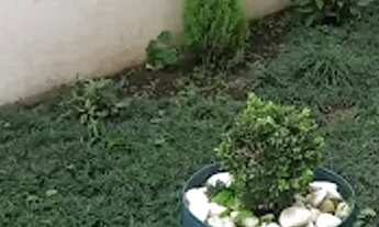 Imagem 3: Apartamento em Rua Dona Vitória Yunes Stefano - Enseada - Guarujá/SP