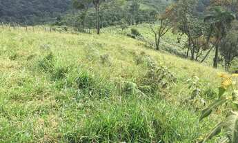 Imagem 3: Bela Propriedade 12 Alqueires Ou seja 29 Hectare - Igarata SP
