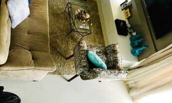 Imagem 4: Haras bonanza Br 232 km 35