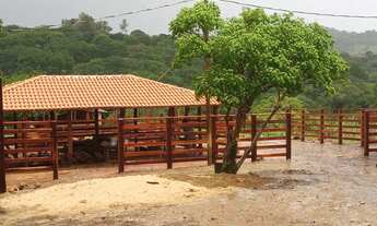 Imagem 7: Otima Estrutura Numa Area 38 Hectares!!!Permuta Por VeIculo !!!Confira!!!!