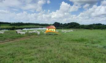 Imagem: Fazenda para Venda em Gurupi, Área Rural