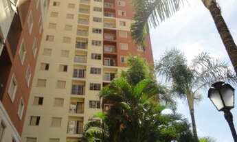Imagem 2: Apartamento - Vila Nova - Campinas