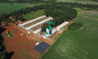 Imagem 4: GRANJA em Paraúna