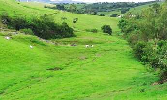 Imagem 7: Fazenda com 124 Hectares