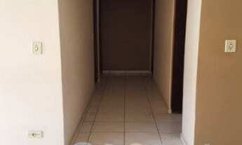 Imagem 3: SAO CAETANO DO SUL - Padrão - Nova Gerty