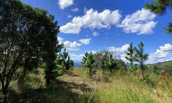 Imagem 7: A MAIS BELA VISTA DA REGIÃO SERRANA! TERRENO COM PLATÔ!