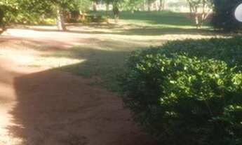 Imagem 2: Sítio na Reg de Paranavaí Pr sao, 9 ,5 alq vendo