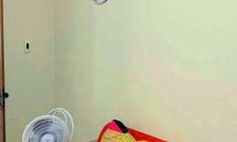 Imagem 6: Casa térrea para com 3 quartos em Piabetá