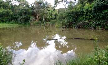 Imagem 2: Terreno com área de 65 hectares em Cláudio/MG