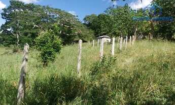 Imagem: Ilhéus - Sítio - Japu