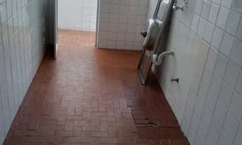 Imagem 7: AP 03 DORM., ENSOLARADO, COM DEP. EMPREGADAS E BOX /GAR