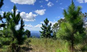 Imagem: A MAIS BELA VISTA DA REGIÃO SERRANA! TERRENO