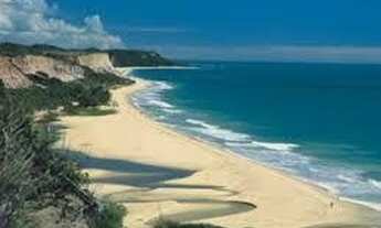 Imagem 4: Terreno em Trancoso