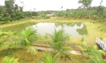 Imagem 6: SÍTIO BR-230 SENT. LABREA CANUTAMA-AMAZONAS