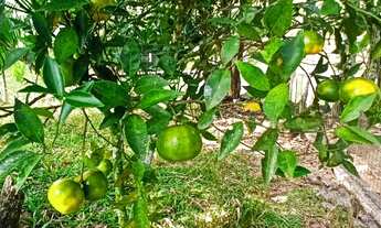 Imagem 7: Sitio completo em Antônio Carlos