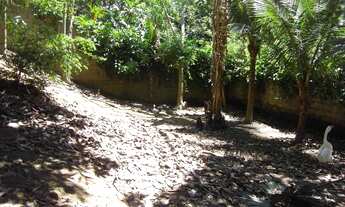 Imagem 7: Lote ideal para construção de prédio na glória