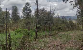 Imagem: Terreno em Piedade Gerais
