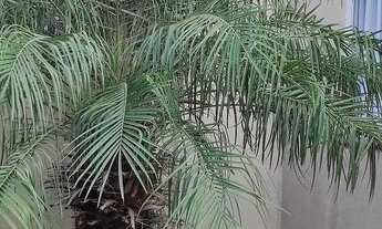 Imagem 2: Casa em alvenaria