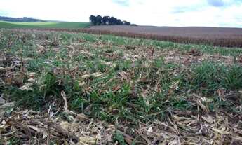 Imagem 2: Chácara à venda, 160 alqueires, ou 387,2 hectares ou 3.872.000m², plantando 60%, soja, euc