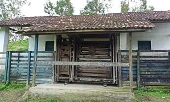 Imagem 4: Fazenda com 124 Hectares