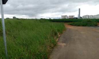 Imagem 3: Terreno em Cosmópolis-SP, com preço a baixo do mercado. (TE0087