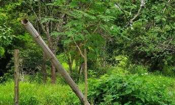 Imagem 5: Baixadão de 10 ha, terra de primeira, as margens do rio, excelente casa ,Jaboticatubas