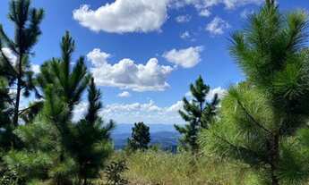 Imagem 6: A MAIS BELA VISTA DA REGIÃO SERRANA! TERRENO COM PLATÔ!