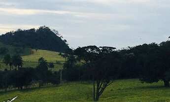 Imagem 6: Sitio em cassia dos coqueiros 12 alqueires 2.000.000.00 ( agn