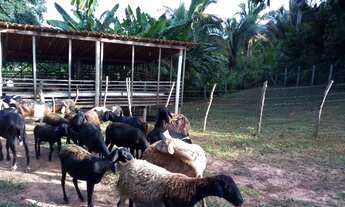 Imagem 6: Chácara Boa Esperança