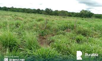 Imagem 2: Fazenda com dupla aptidão na região de Bernardo Sayão - TO