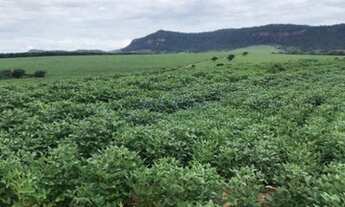 Imagem 2: Sítio, Zona Rural, Analândia - R$ 3.5 mi, Cod: 10132475