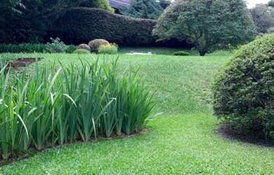 Imagem 3: Casa A VENDA localizada na Vila Inglesa em Campos do Jordão - SP