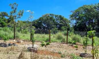 Imagem 3: CHÁCARA IGARAPÉ VARGINHA 1.210MTS