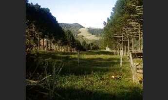 Imagem 2: Vendo sítio em Alfredo wagner