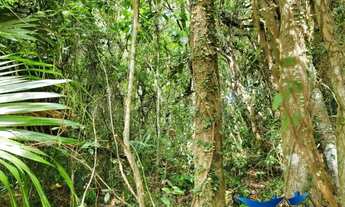 Imagem 7: Velleda oferece atraente sítio, 5000m², em condomínio fechado, na Águas Claras