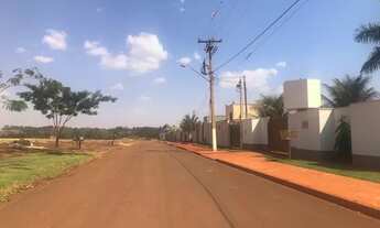 Imagem 3: Terreno em miguelópolis