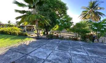 Imagem 5: Chácara com mais de 2580m² de área, com árvores frutíferas